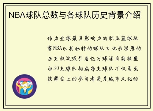 NBA球队总数与各球队历史背景介绍
